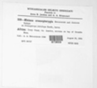 Image Associated With the Occurence
